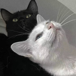 jizzjizzxxx女奥特曼jizzwwww
